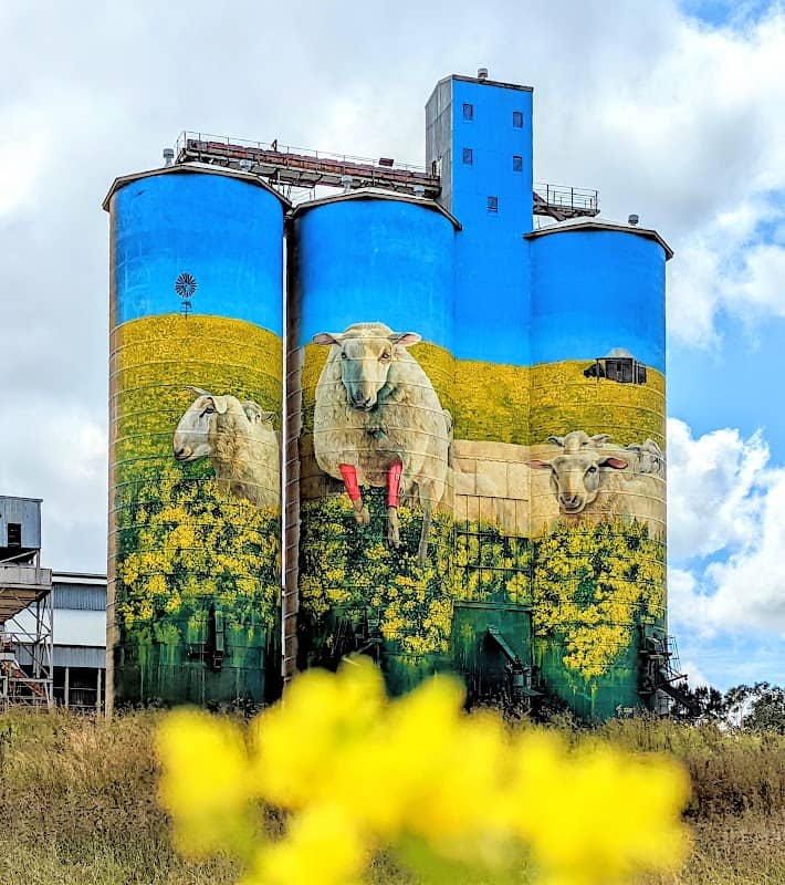 Merriwa Silo Art - Image 1