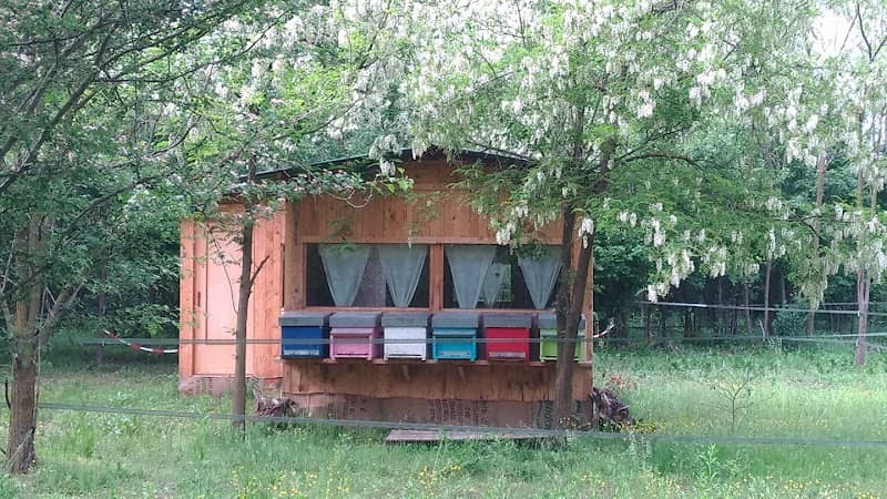 Lo Chalet delle Api - Image 1