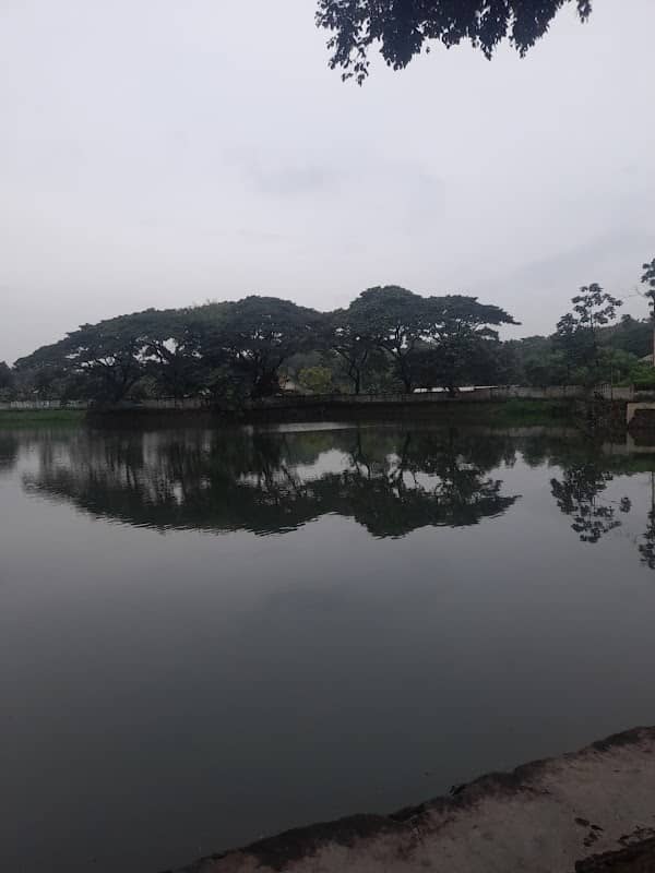 Setu Tipar - Image 1