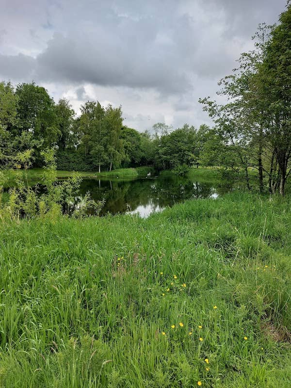 Portlaoise Town Park - Image 1