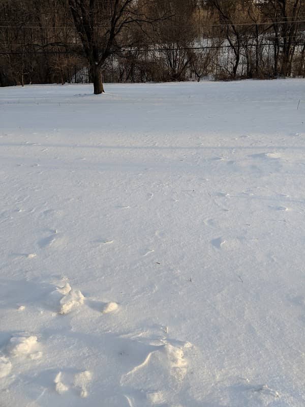 Overlook Heights Park - Image 1
