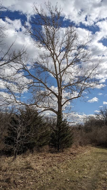 Longview Lake Horse-Hike Trail - Image 1