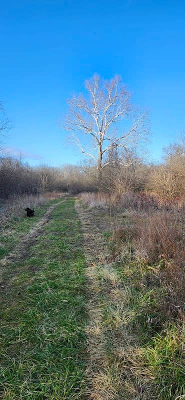 Longview Lake Horse-Hike Trail - Image 2