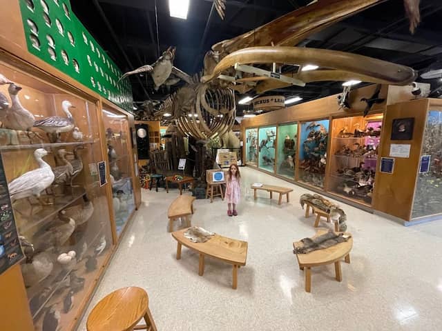 Jurica-Suchy Nature Museum - Image 1