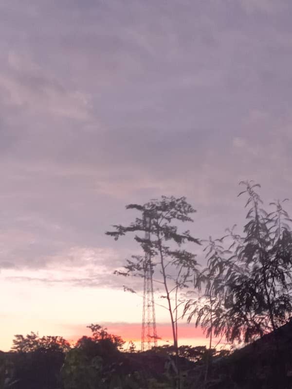 Sunset view - Image 2