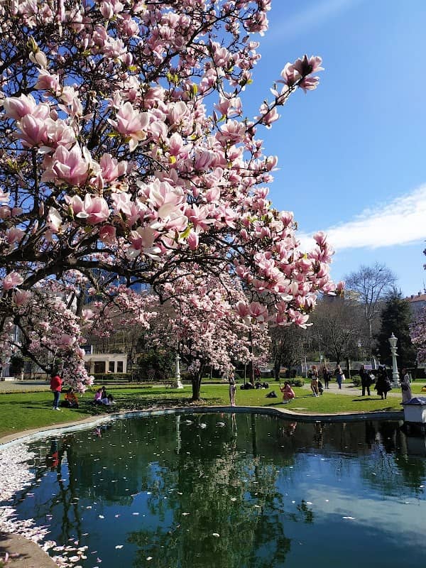 Ihlamur Park - Image 1
