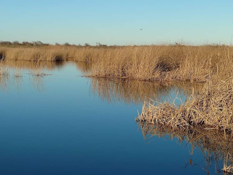 Brazoria National Wildlife Refuge - Image 2