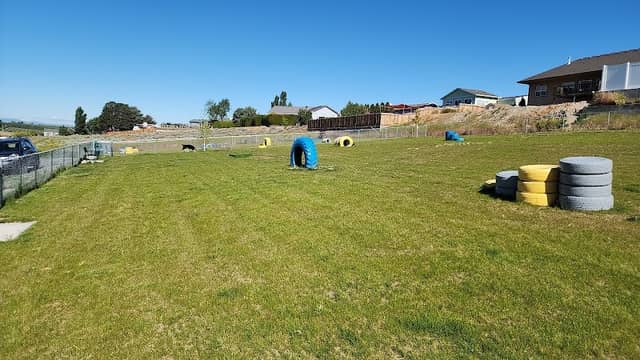 Royal City Dog Park - Image 1