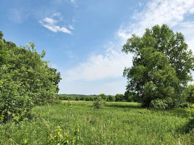 Boone Creek Conservation Area - Image 1