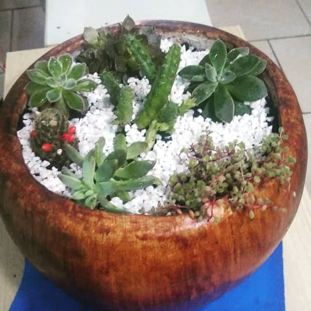 Tuca Jardinagem - Image 1