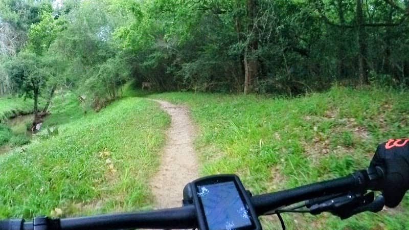 Armadillo Mtb Trails - Image 1