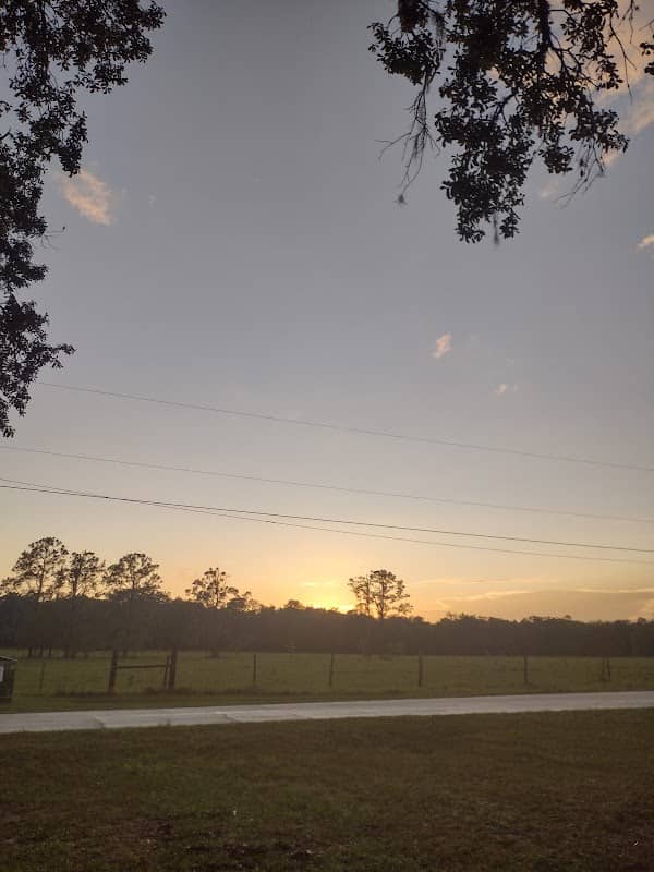 Rosewood Dog Park - Image 1