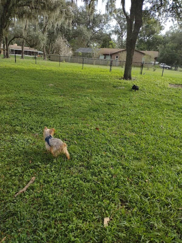 Rosewood Dog Park - Image 2