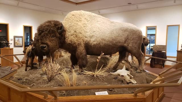 Museum of the Northern Great Plains - Image 1
