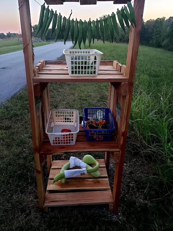 Pineal trade station - Image 1