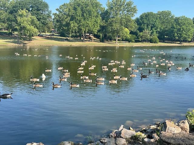 Jo Allyn Lowe Park - Image 2