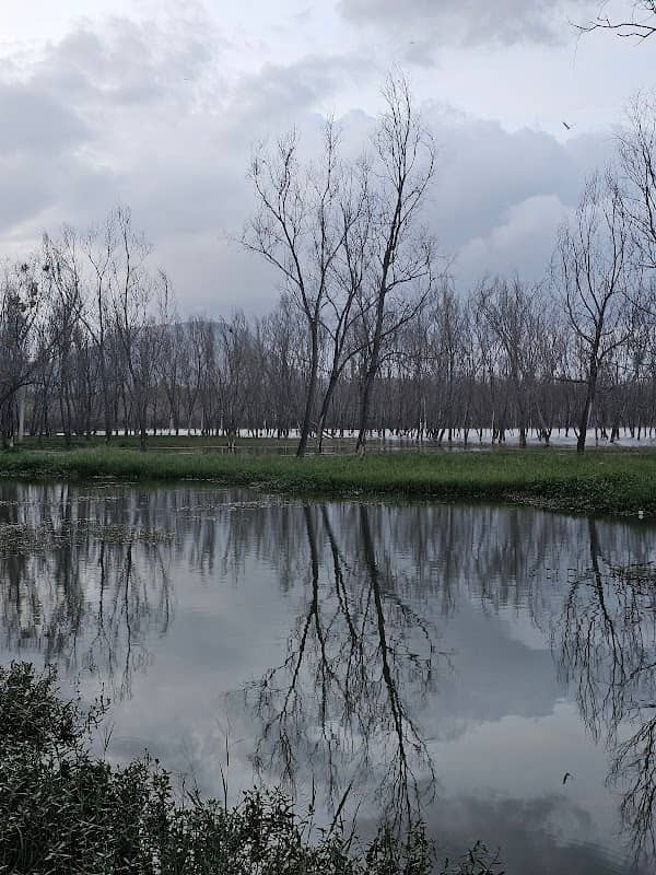 Lakeside Road - Image 1