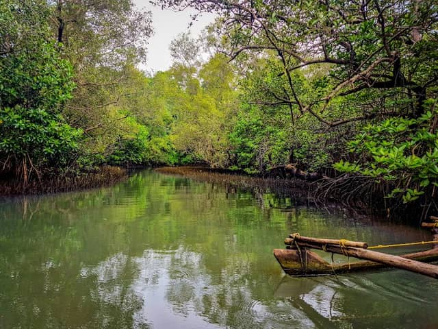 All day kayak adventure - Image 1