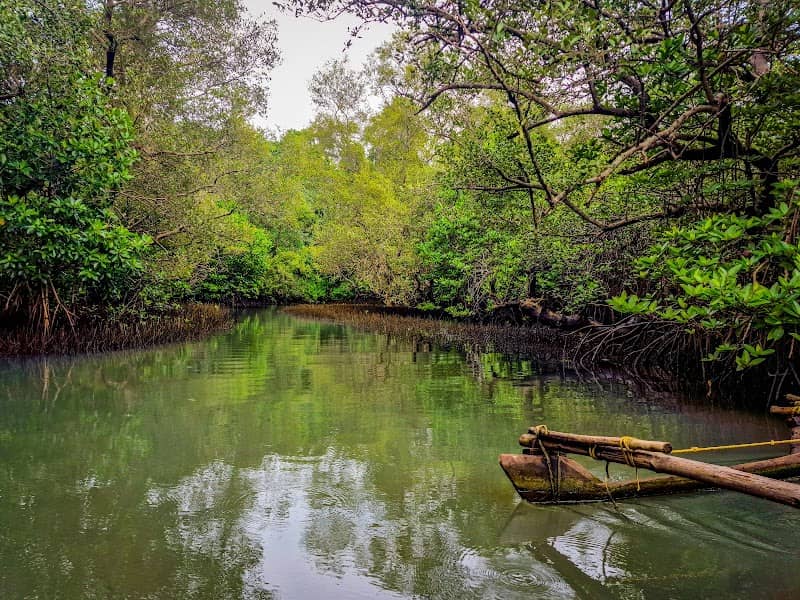 All day kayak adventure - Image 1