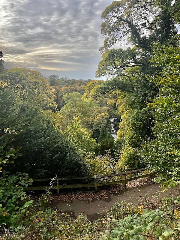 Jesmond Dene - Image 1