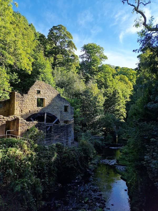 Jesmond Dene - Image 2