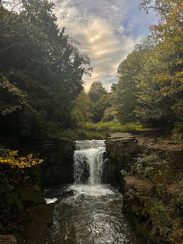 Jesmond Dene - Image 3