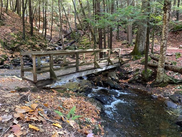 Chesterfield Gorge Natural Area - Image 2