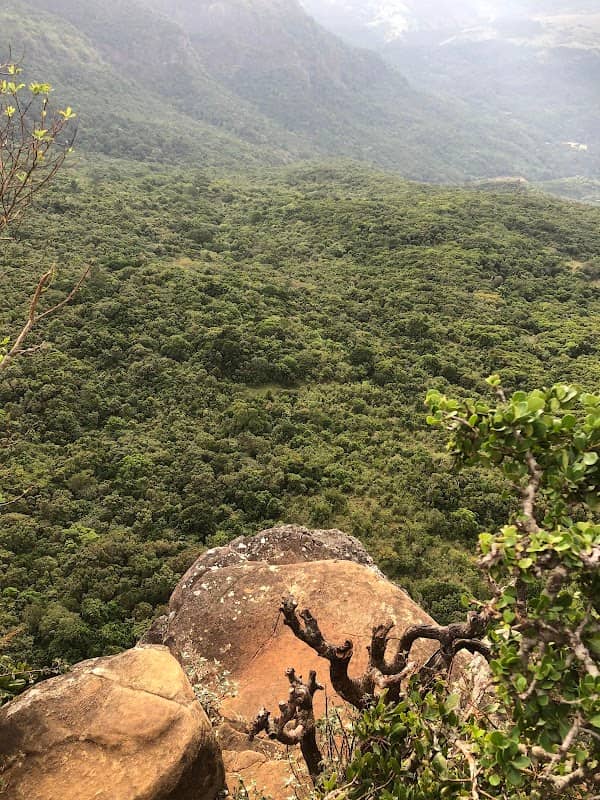 Pitawala Pathana Ella Fall No 1 - Image 2