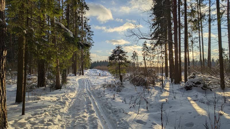 Forest Park Krasnogorsky - Image 1