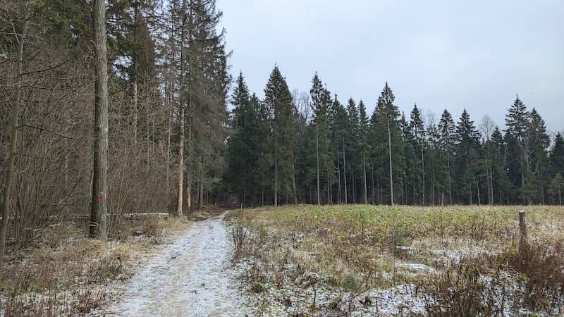 Forest Park Krasnogorsky - Image 2
