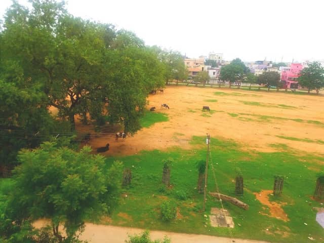 Patel Park - Image 1