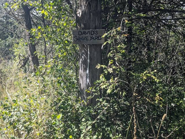 Topsy Trails- David's Graveyard - Image 1