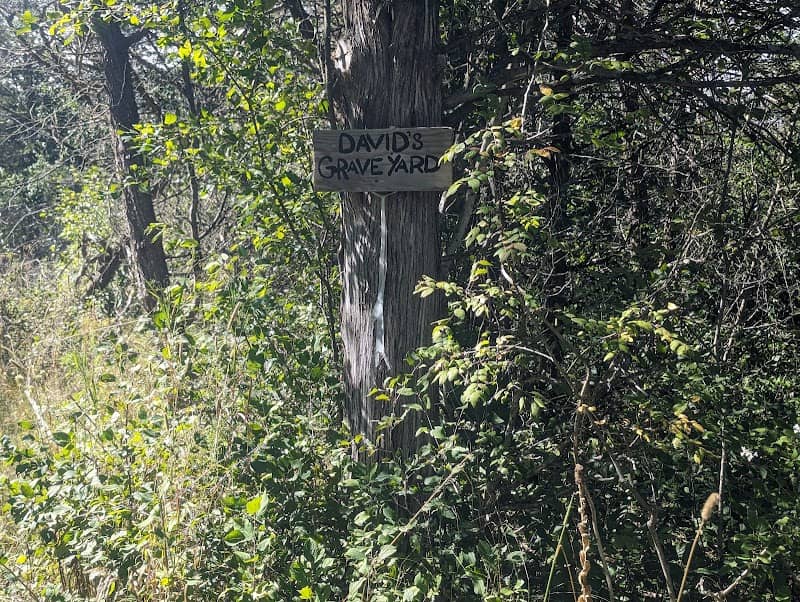 Topsy Trails- David's Graveyard - Image 1