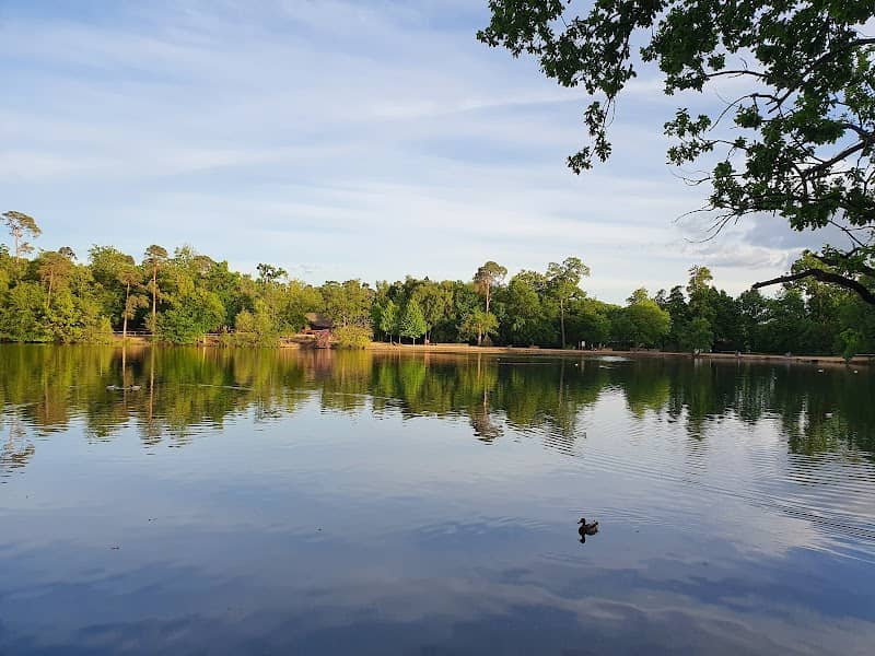 Black Park Country Park - Image 3