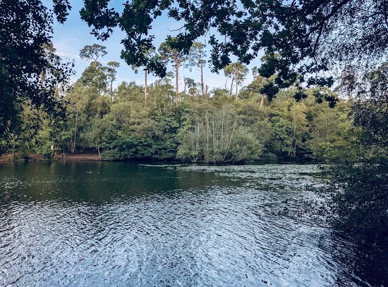 Black Park Country Park - Image 2