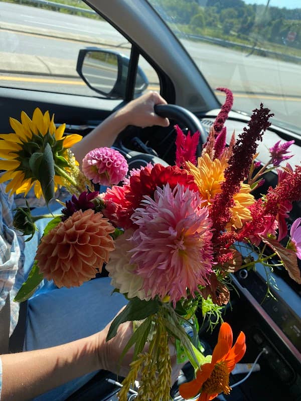 Worley Flower Farm - Image 1