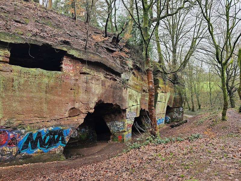 Beech caves - Image 1