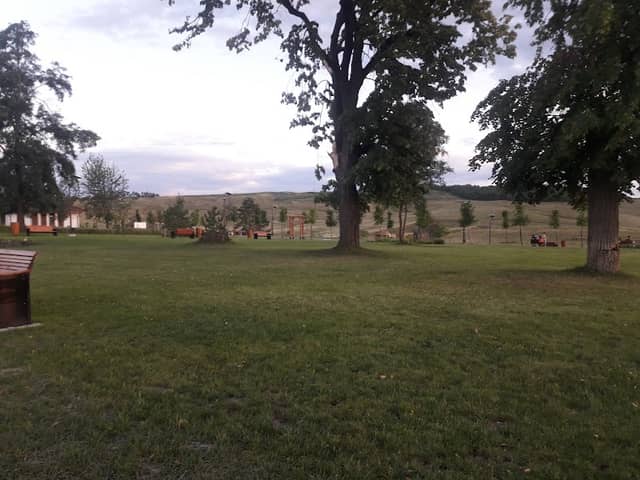 Parcul Polonic - Image 1