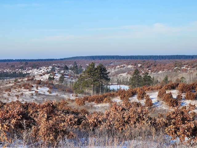 Namekagon Barrens Wildlife Area - Image 2
