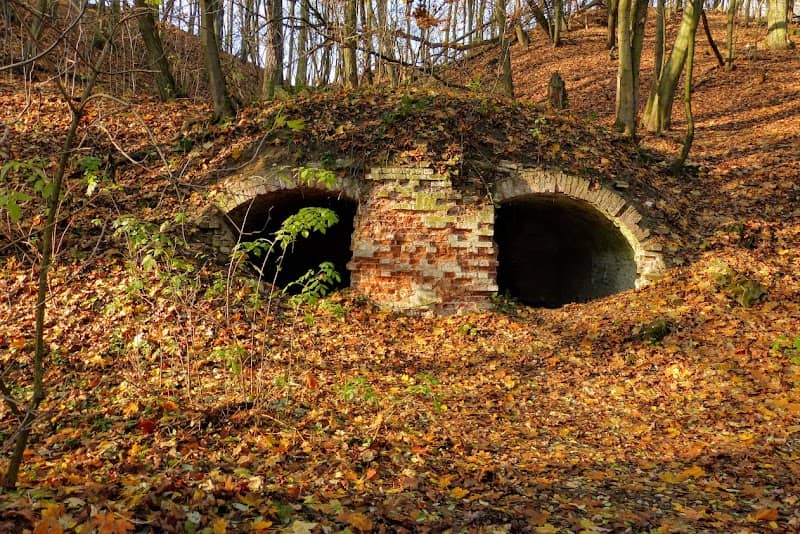 Wąwóz Szaniawskiego - Rezerwat Przyrody - Image 1