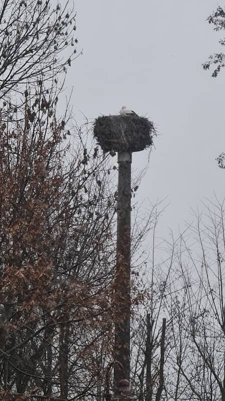 Storchennest - Image 2