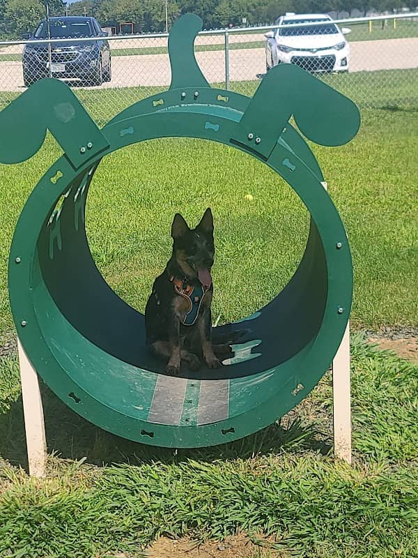 Canning Family K-9 Park - Image 2