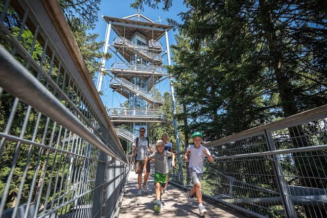Waldwelt Skywalk Allgäu - Image 1