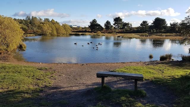 Havannah & Three Hills Nature Reserve - Three Hills Visitor Carpark - Image 1