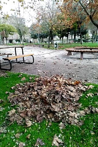 Buhara Parkı - Image 2