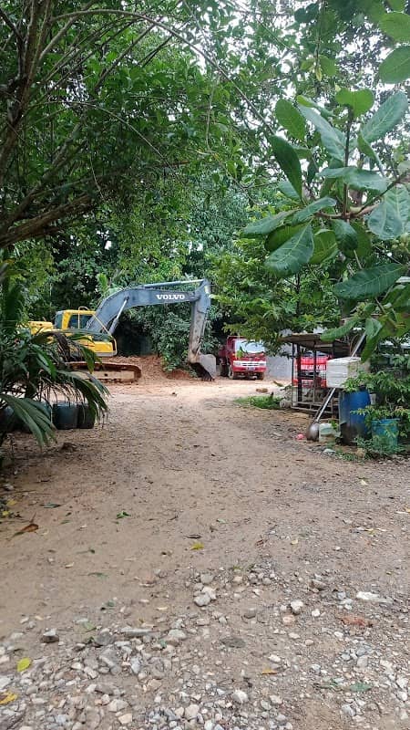 Secret Garden - Image 1