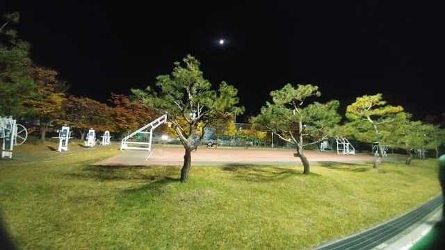 화랑공원 - Image 2