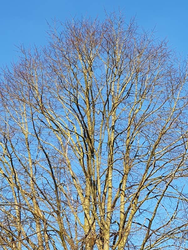 Park Geerenlanden - Image 2
