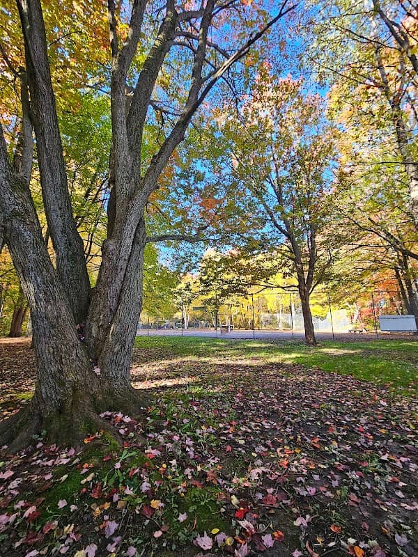 Birchwood Park - Image 1