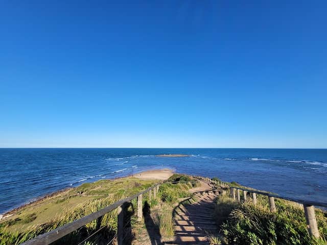 Long Reef Aquatic Reserve - Image 1